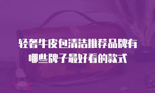 轻奢牛皮包清洁推荐品牌有哪些牌子最好看的款式