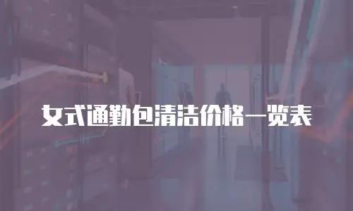 女式通勤包清洁价格一览表