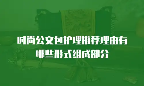时尚公文包护理推荐理由有哪些形式组成部分