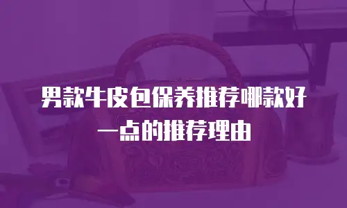 男款牛皮包保养推荐哪款好一点的推荐理由
