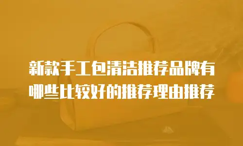 新款手工包清洁推荐品牌有哪些比较好的推荐理由推荐