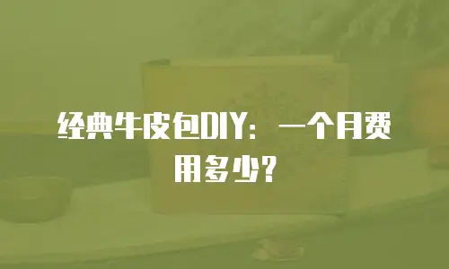 经典牛皮包DIY：一个月费用多少？