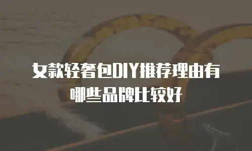 女款轻奢包DIY推荐理由有哪些品牌比较好