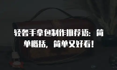轻奢手拿包制作推荐语：简单概括，简单又好看！