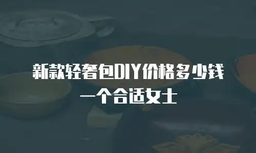 新款轻奢包DIY价格多少钱一个合适女士