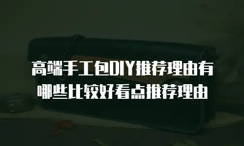 高端手工包DIY推荐理由有哪些比较好看点推荐理由