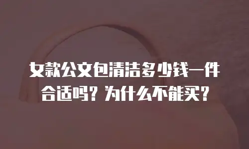 女款公文包清洁多少钱一件合适吗？为什么不能买？