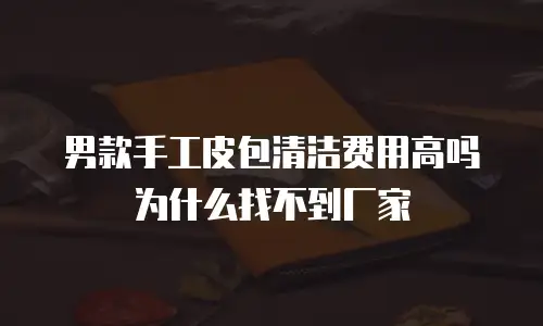 男款手工皮包清洁费用高吗为什么找不到厂家