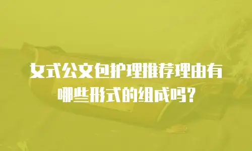 女式公文包护理推荐理由有哪些形式的组成吗？