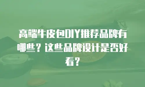高端牛皮包DIY推荐品牌有哪些？这些品牌设计是否好看？