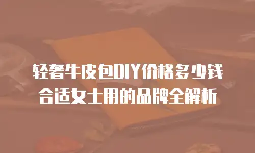 轻奢牛皮包DIY价格多少钱合适女士用的品牌全解析