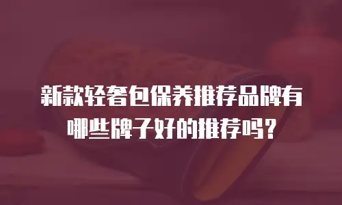 新款轻奢包保养推荐品牌有哪些牌子好的推荐吗？