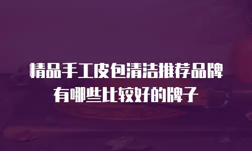 精品手工皮包清洁推荐品牌有哪些比较好的牌子