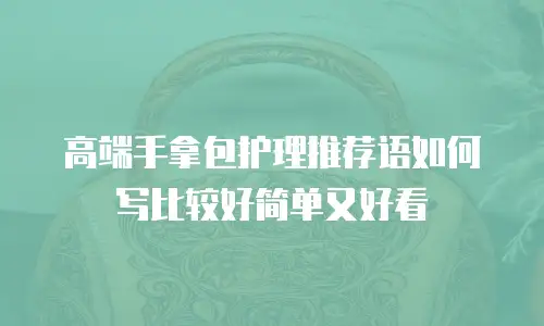 高端手拿包护理推荐语如何写比较好简单又好看