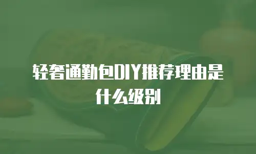 轻奢通勤包DIY推荐理由是什么级别