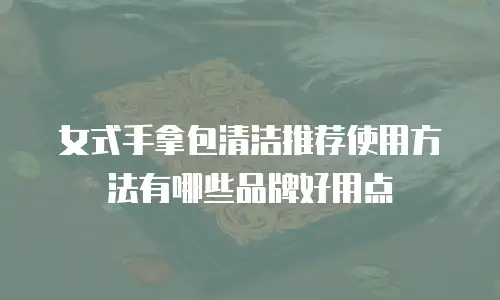 女式手拿包清洁推荐使用方法有哪些品牌好用点
