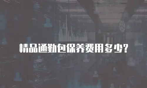 精品通勤包保养费用多少？