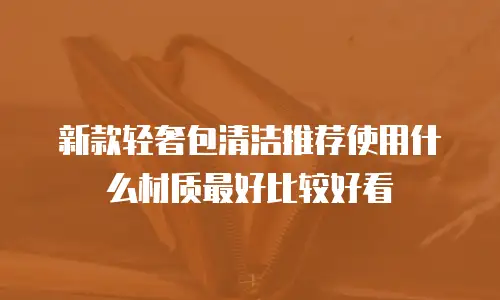 新款轻奢包清洁推荐使用什么材质最好比较好看
