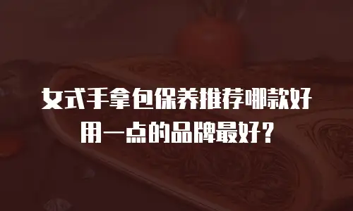 女式手拿包保养推荐哪款好用一点的品牌最好？