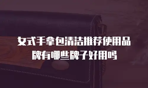 女式手拿包清洁推荐使用品牌有哪些牌子好用吗