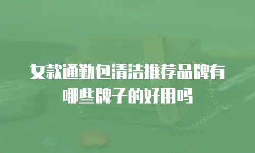 女款通勤包清洁推荐品牌有哪些牌子的好用吗