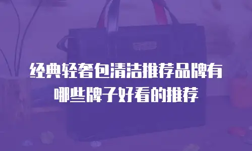 经典轻奢包清洁推荐品牌有哪些牌子好看的推荐
