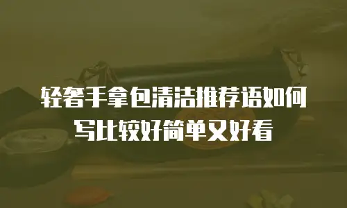 轻奢手拿包清洁推荐语如何写比较好简单又好看