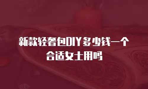 新款轻奢包DIY多少钱一个合适女士用吗