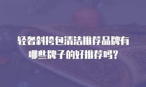 轻奢斜挎包清洁推荐品牌有哪些牌子的好推荐吗？