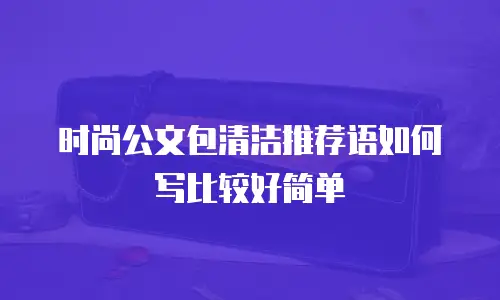 时尚公文包清洁推荐语如何写比较好简单
