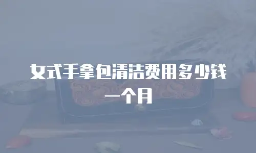 女式手拿包清洁费用多少钱一个月