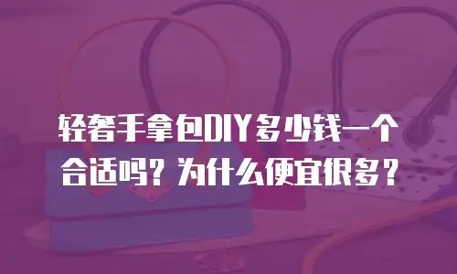 轻奢手拿包DIY多少钱一个合适吗？为什么便宜很多？
