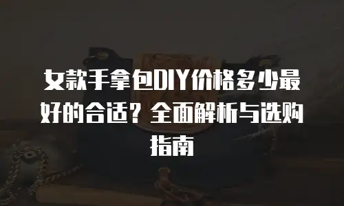 女款手拿包DIY价格多少最好的合适？全面解析与选购指南