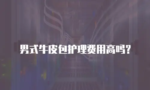  男式牛皮包护理费用高吗？