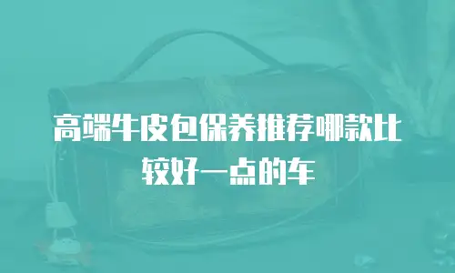 高端牛皮包保养推荐哪款比较好一点的车