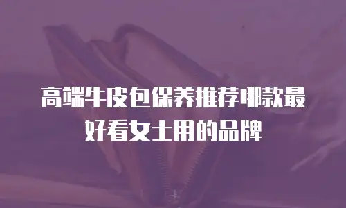 高端牛皮包保养推荐哪款最好看女士用的品牌