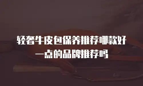 轻奢牛皮包保养推荐哪款好一点的品牌推荐吗