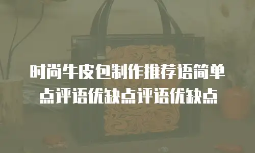 时尚牛皮包制作推荐语简单点评语优缺点评语优缺点