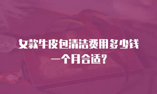 女款牛皮包清洁费用多少钱一个月合适？