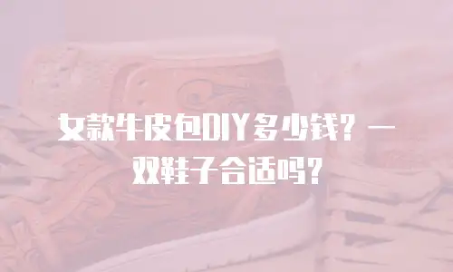 女款牛皮包DIY多少钱？一双鞋子合适吗？