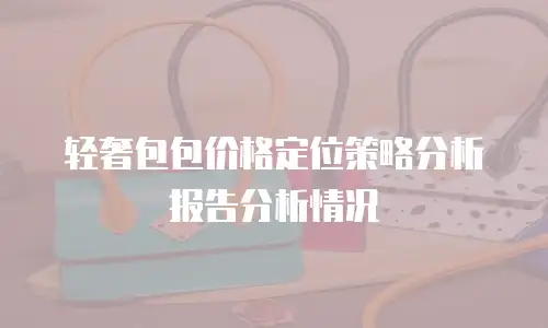 轻奢包包价格定位策略分析报告分析情况