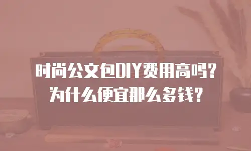 时尚公文包DIY费用高吗？为什么便宜那么多钱？