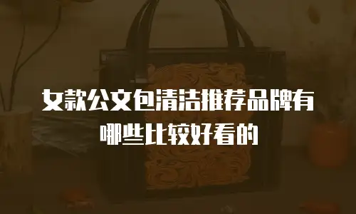女款公文包清洁推荐品牌有哪些比较好看的