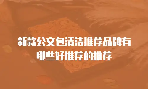 新款公文包清洁推荐品牌有哪些好推荐的推荐