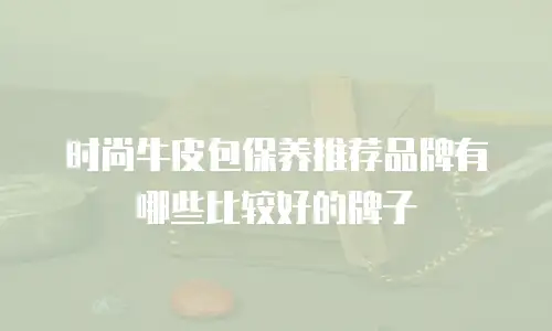 时尚牛皮包保养推荐品牌有哪些比较好的牌子
