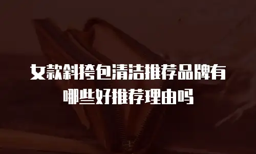 女款斜挎包清洁推荐品牌有哪些好推荐理由吗