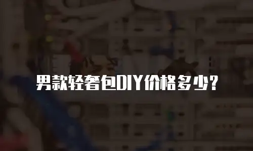 男款轻奢包DIY价格多少？