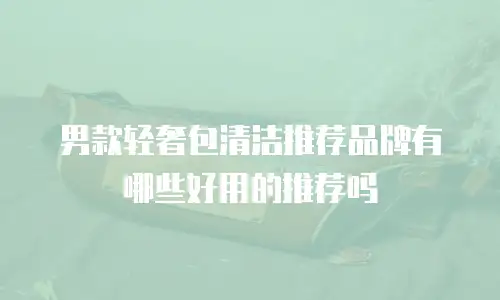 男款轻奢包清洁推荐品牌有哪些好用的推荐吗