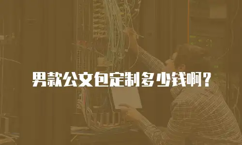 男款公文包定制多少钱啊？