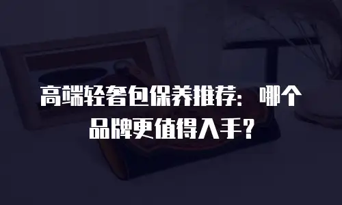 高端轻奢包保养推荐：哪个品牌更值得入手？